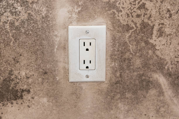 Mold Odor Removal Services in Spencer, OK